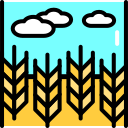 cielo icon