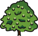 Árbol icon