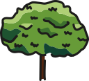 Árbol icon