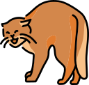 gato icon