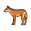 perro icon