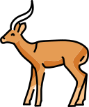 animal icon