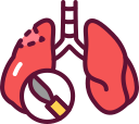 pulmones icon