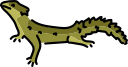 animal icon