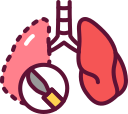 pulmones icon