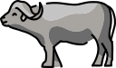 animal icon