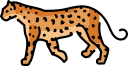 animal icon