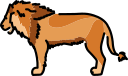 animal icon