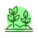 plantar icon