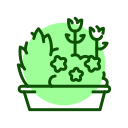 flor icon