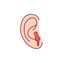 oreja icon