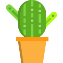 cactus icon