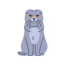 katze 