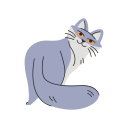 gato icon