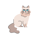 gato icon