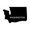 washington icon