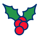 navidad icon