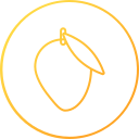 mango icon