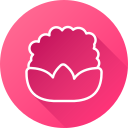 coliflor icon