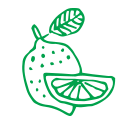 fruta icon