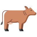 vaca icon