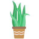 식물 icon