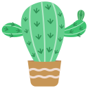선인장 icon