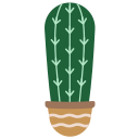 선인장 icon