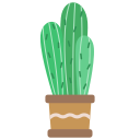 선인장 icon
