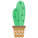 선인장 icon