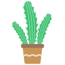 선인장 icon