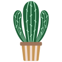 선인장 icon
