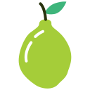 fruta icon