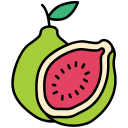 fruta icon