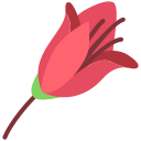 fleur icon