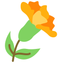 flor 