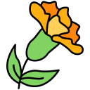 flor 