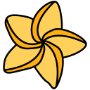 blume 