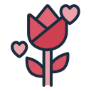 rosa icon