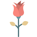 rosa icon