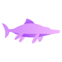 animal marino 