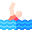 nadar icon