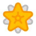 estrella icon