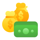 dinero icon