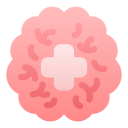 croix icon