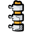 columna vertebral icon