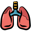 pulmones icon