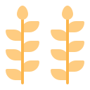 Пшеница icon