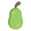 Груша icon