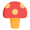 Mushroom 